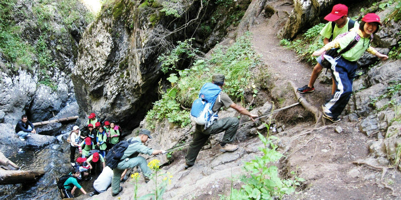 【天山小特工】研学探险营（南山7天）