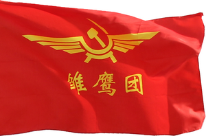 中国雏鹰团